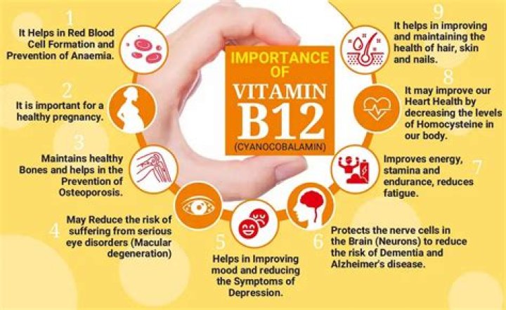 Does vitamin B12 help with MS?