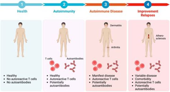 Insights Into His Autoimmune Condition