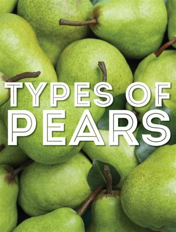 Uncover The Sweet Delights Of Angelina White Pears