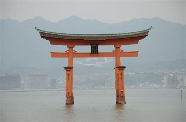 Unveiling The Enchanting World Of The Hailey Rose