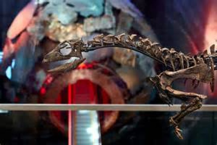 Unveiling The Enigma Of Conan Gray: Discoveries And Insights