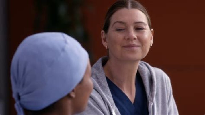 Who owns the hospital in GREY's?